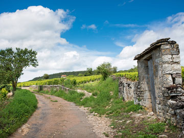 bourgogne-offre-beaune-71287357-jpg