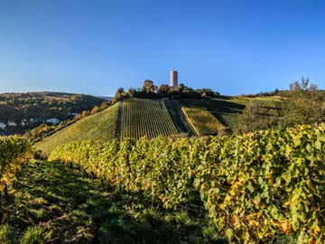 Séminaire en château au cœur des vignes